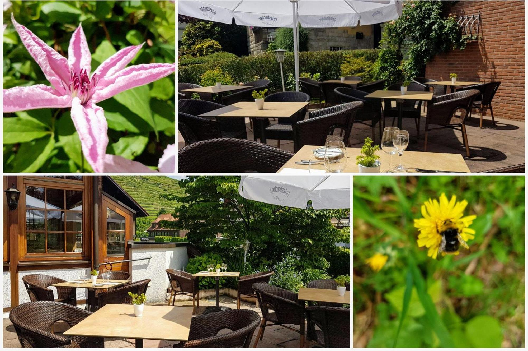 Hotel Altenberg Baden-Baden Exteriér fotografie